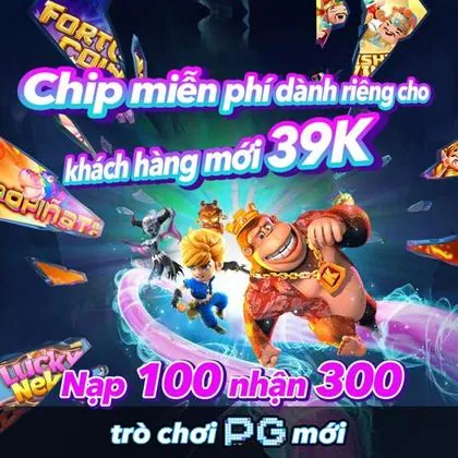 WG6 WG6