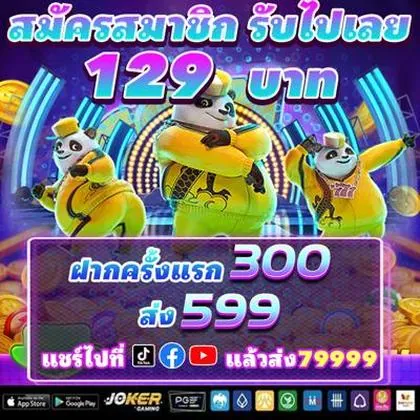WG6 WG6